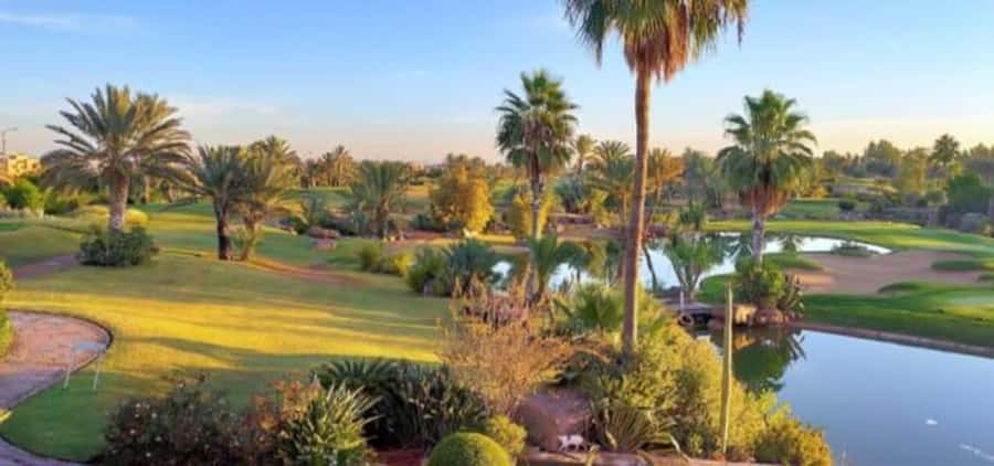 Marrakech: Hammam, Massage and Gourmet Experience - What the 45-Minute Hammam Involves