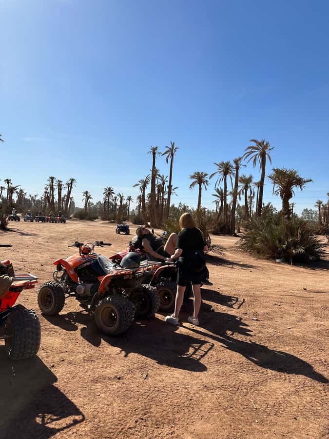 Marrakech Tour: Quad bike, Lunch in Palm Grove, Hammam & SPA - My verdict on the quad and hammam combination