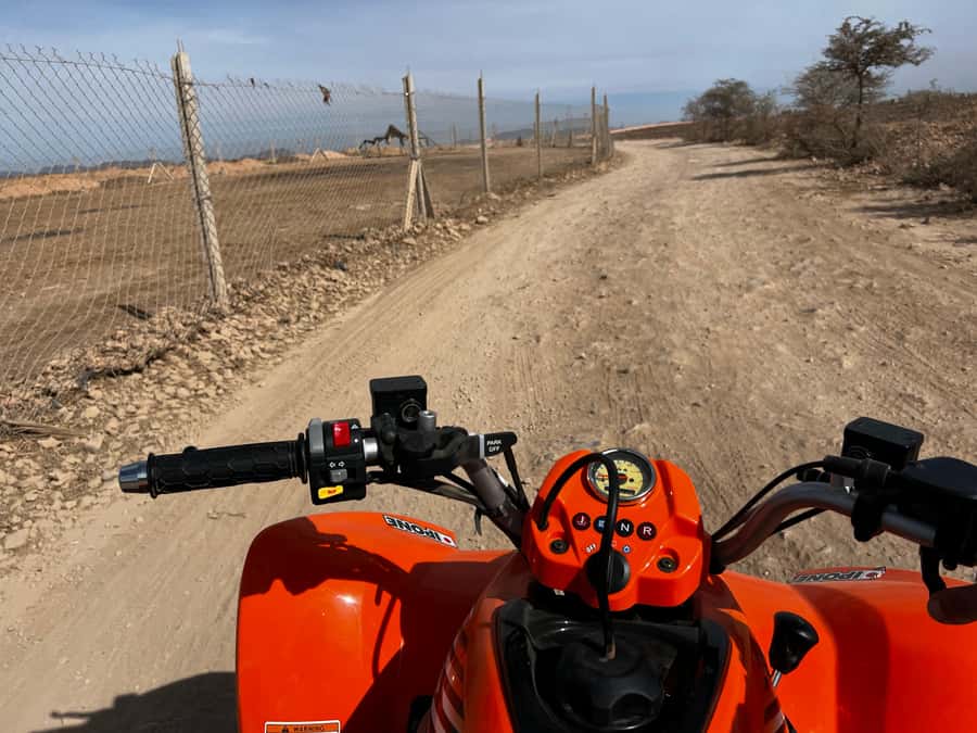 Marrakech Tour: Quad bike, Lunch in Palm Grove, Hammam & SPA - Returning to Marrakech for tea and quiet