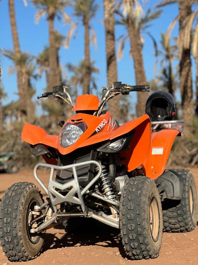 Marrakech Tour: Quad bike, Lunch in Palm Grove, Hammam & SPA - Hammam steam, exfoliation, and massage