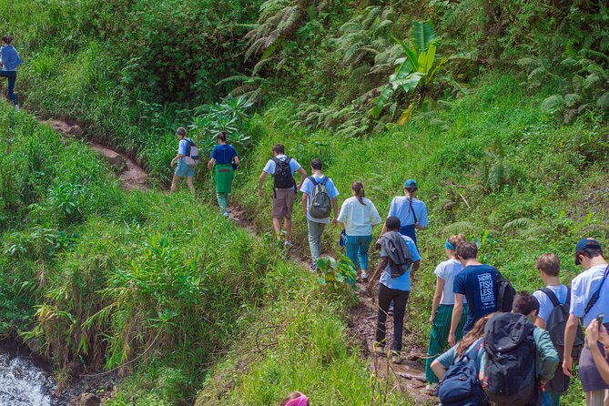 Materuni Waterfall and Kikuletwa Hot Spring Tour - Why this Moshi day trip works so well
