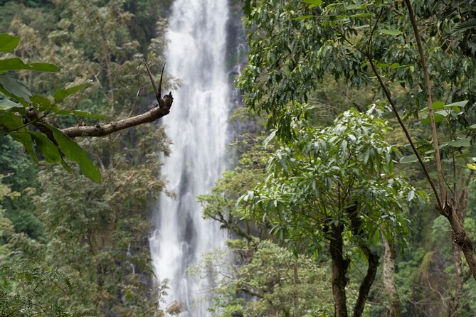 Materuni Waterfall and Kikuletwa Hot Spring Tour - Lunch, banana beer, and Chagga culture