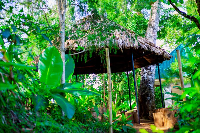 Materuni Waterfall and Kikuletwa Hot Spring Tour - What the $136 price includes