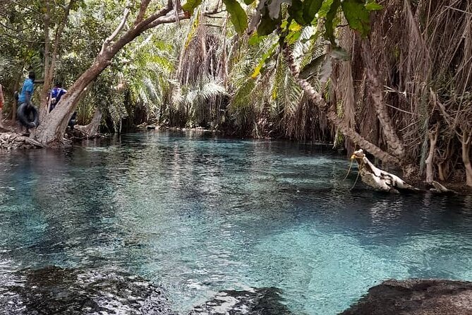 Materuni Waterfall and Kikuletwa Hot Spring Tour - Who will enjoy this tour most
