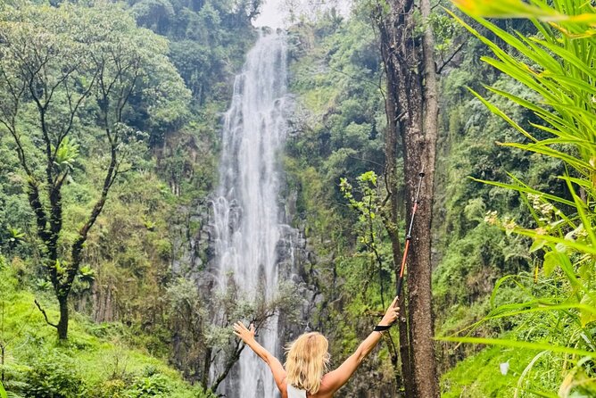Materuni Waterfall Coffee Tour and Chemka Hot Springs Experience - Why this day trip works so well