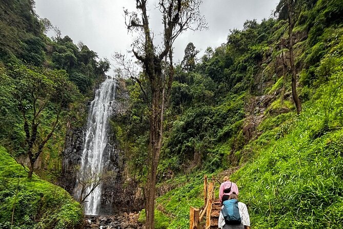 Materuni Waterfall Coffee Tour and Chemka Hot Springs Experience - Chagga lunch and village hospitality