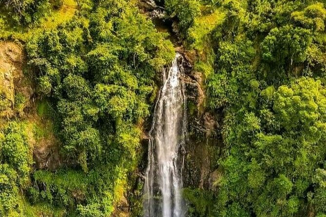 Materuni Waterfall Coffee Tour and Chemka Hot Springs Experience - Walking through Materuni’s coffee country