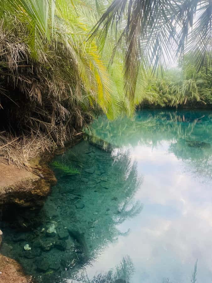 Materuni Waterfall, Coffee Tour & Hot Springs- Maasai tour - Swimming at Chemka Hot Springs