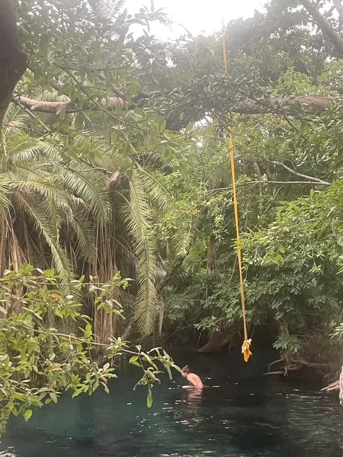 Materuni Waterfall, Coffee Tour & Hot Springs- Maasai tour - Booking and cancellation details