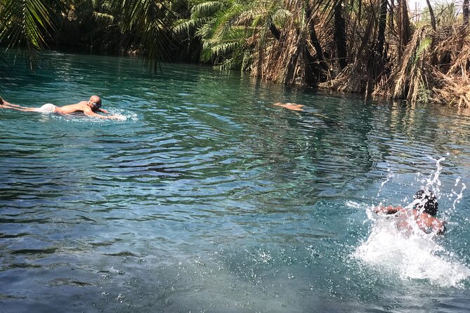 Materuni waterfall - coffee tour OR Chemka hot spring Tour - Cancellation, weather, and timing