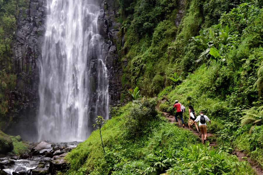 Materuni Waterfalls, Chemka Hot Springs, &/Or Coffee Tour - Key points to know before booking