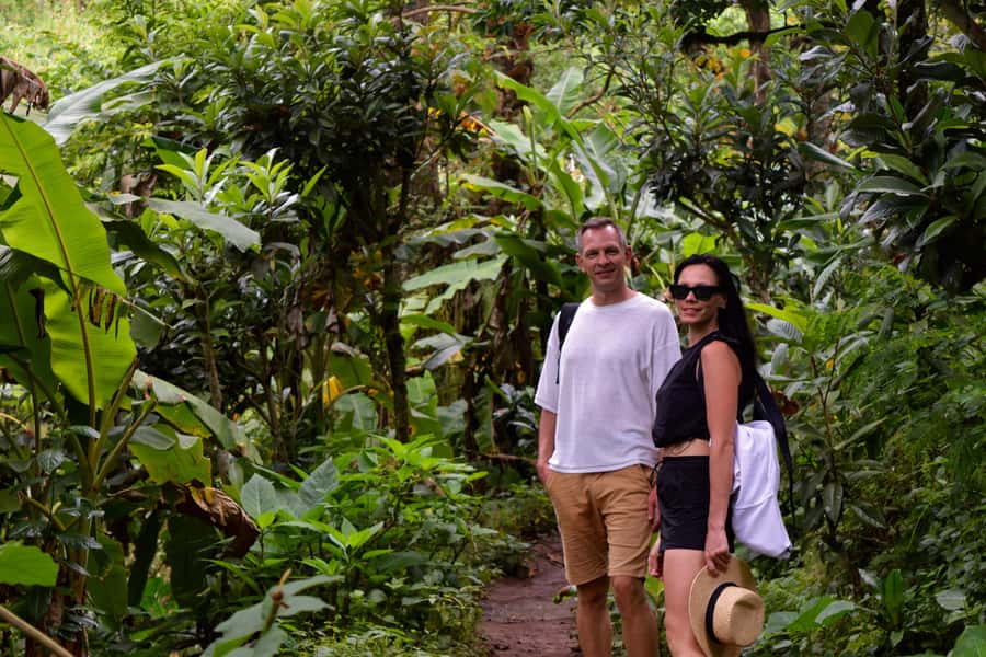 Materuni Waterfalls, Chemka Hot Springs, &/Or Coffee Tour - A Materuni coffee lesson you can taste