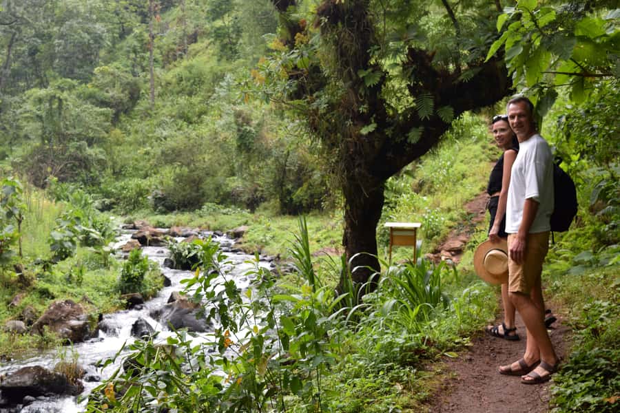 Materuni Waterfalls, Chemka Hot Springs, &/Or Coffee Tour - The drive from Moshi or Arusha