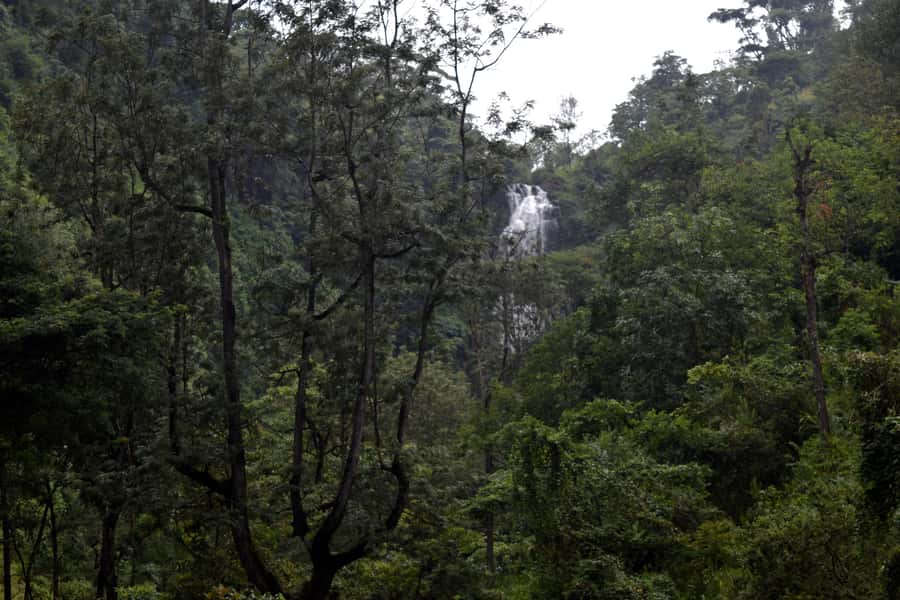 Materuni Waterfalls, Chemka Hot Springs, &/Or Coffee Tour - What to pack for wet trails and swimming