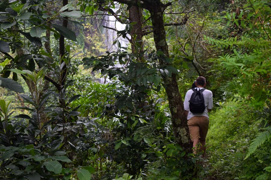 Materuni Waterfalls, Chemka Hot Springs, &/Or Coffee Tour - Should you book the $70 tour?