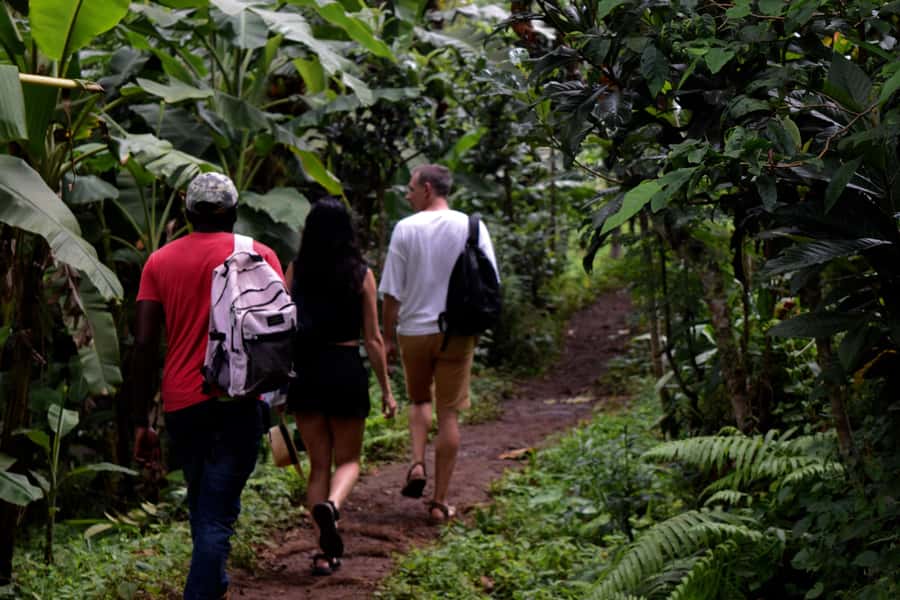Materuni Waterfalls, Chemka Hot Springs, &/Or Coffee Tour - Walking to Materuni Waterfalls