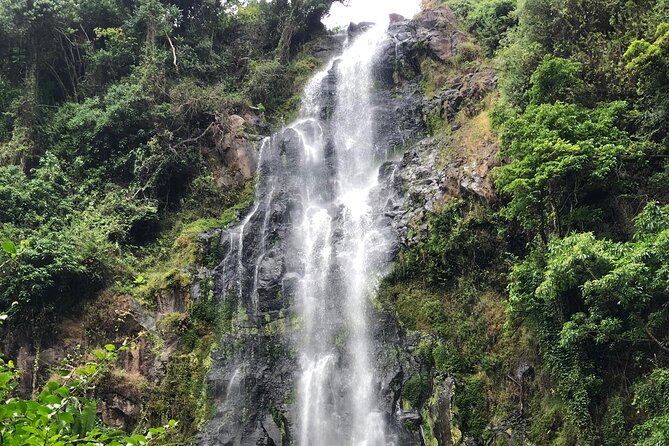 Materuni waterfalls coffee tour & Chemka hot springs Day trip - What $95 buys you