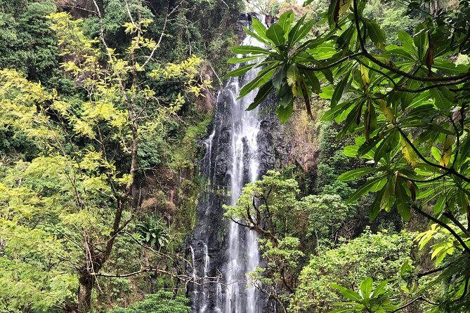Materuni waterfalls coffee tour & Chemka hot springs Day trip - Private touring and the guide factor