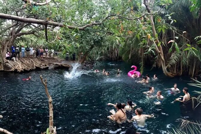 Materuni waterfalls coffee tour & Chemka hot springs Day trip - Who will enjoy this day most
