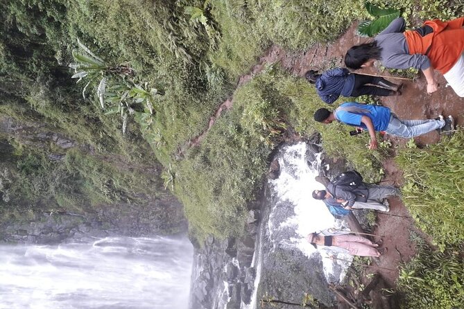 Materuni waterfalls,coffee tour & Kikuletwa(Chemka)Hot Springs - Why this makes a strong full-day outing from Arusha