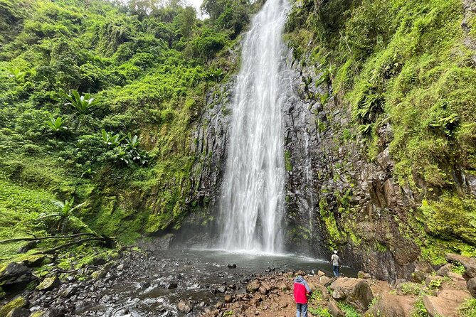 Materuni waterfalls,coffee tour & Kikuletwa(Chemka)Hot Springs - Learning how coffee becomes a drink