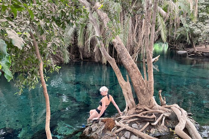 Materuni waterfalls,coffee tour & Kikuletwa(Chemka)Hot Springs - What the private setup means in practice