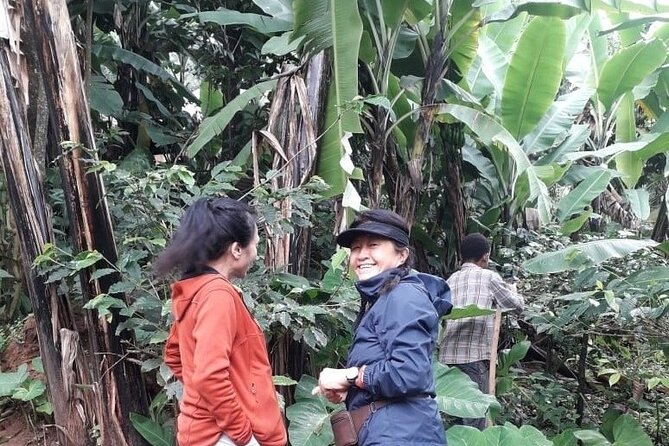 Materuni waterfalls,coffee tour & Kikuletwa(Chemka)Hot Springs - Who should book this day trip?