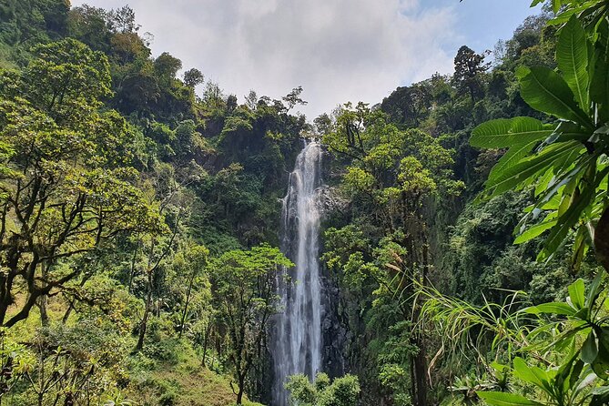 Materuni waterfalls,coffee tour & Kikuletwa(Chemka)Hot Springs - Walking into Materuni Waterfalls