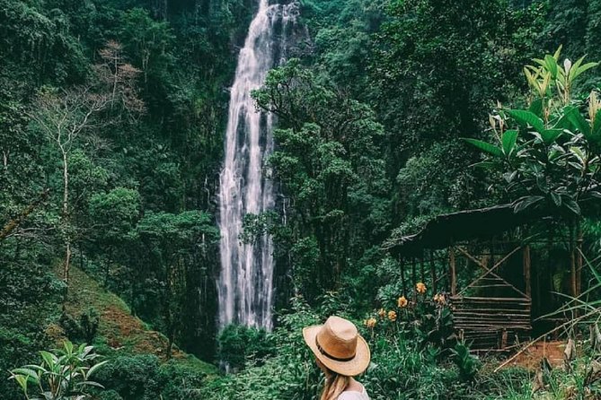 Materuni Waterfalls, coffee tour & Kikuletwa Hot Springs - Why this makes a good Arusha day trip