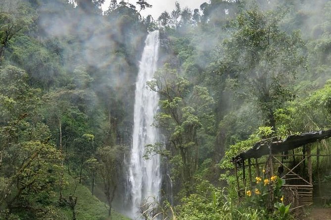 Materuni Waterfalls, coffee tour & Kikuletwa Hot Springs - Making coffee the Chagga way