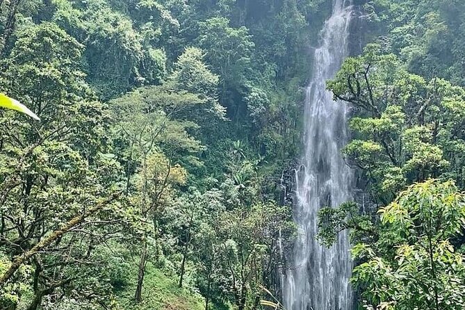 Materuni Waterfalls, Kikuletwa Chemka Hot springs, Coffee tour - Key points to know