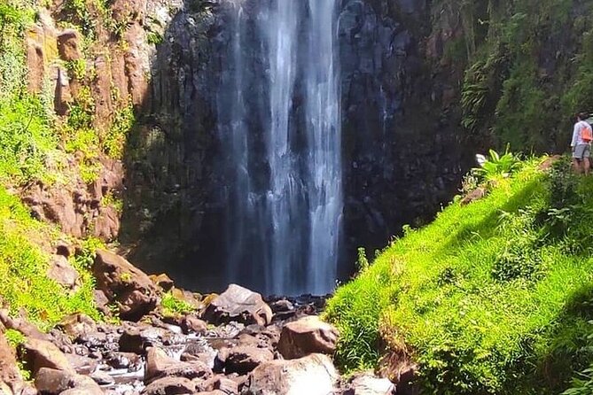 Materuni Waterfalls, Kikuletwa Chemka Hot springs, Coffee tour - Materuni Village and the Chagga coffee tradition