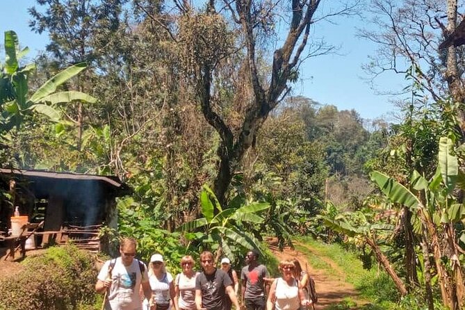 Materuni Waterfalls, Kikuletwa Chemka Hot springs, Coffee tour - Is $100 good value?