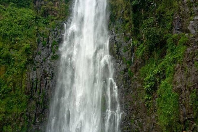 Materuni Waterfalls, Kikuletwa Chemka Hot springs, Coffee tour - Why Kikuletwa may not suit every visitor