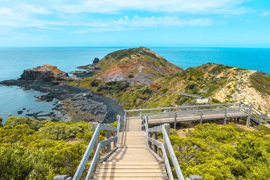 Melbourne: Mornington Peninsula & Hot Springs Tour 8 pax max - Who should book this experience?