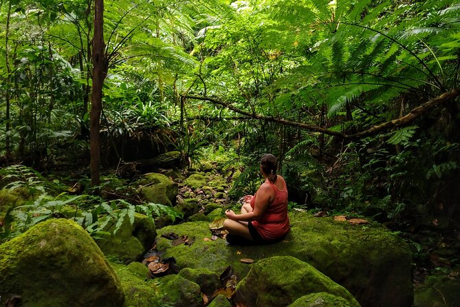 Mindfulness Rainforest Hike, Forest Bathing, Volcanic Hot Springs - Key points at a glance