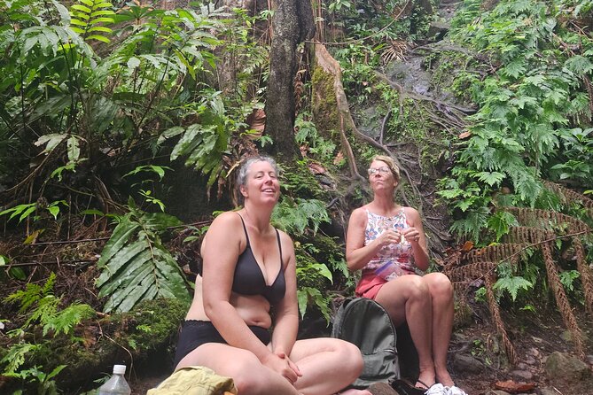 Mindfulness Rainforest Hike, Forest Bathing, Volcanic Hot Springs - The waterfall pool and the cold-plunge choice