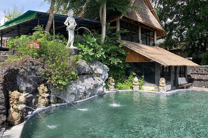 Monkey Forest, Holy Water Temple & Hot Springs Tours - One hour among the monkeys