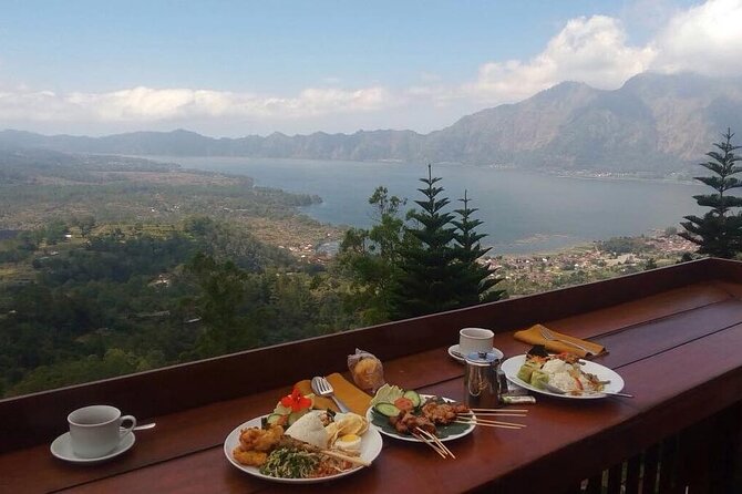 Monkey Forest, Holy Water Temple & Hot Springs Tours - What the private guide and vehicle add