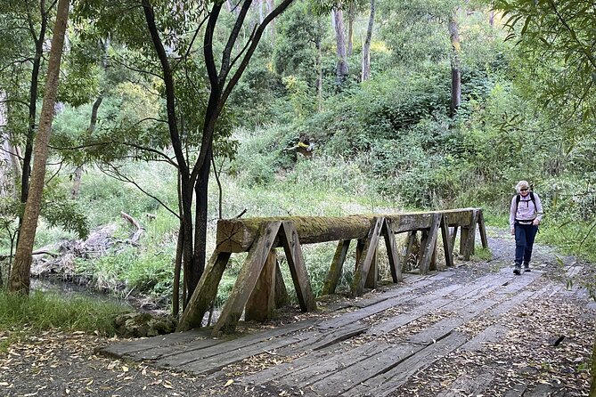 Mornington Peninsula Hike and Hot Springs Day Tour - 8 people max - Is $189.16 good value?