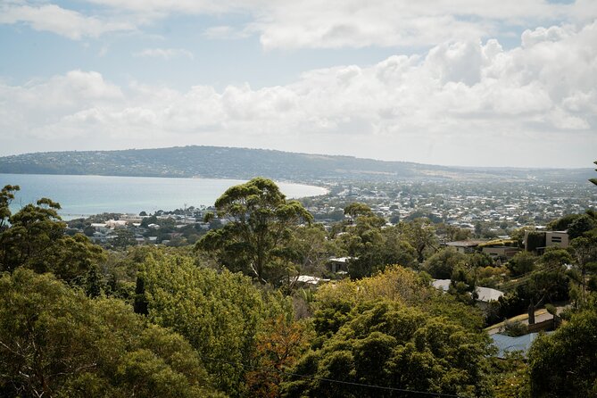 Mornington Peninsula Small Group Thermal Springs w/ Lunch & Wine - Lunch and wine at Green Olive Estate