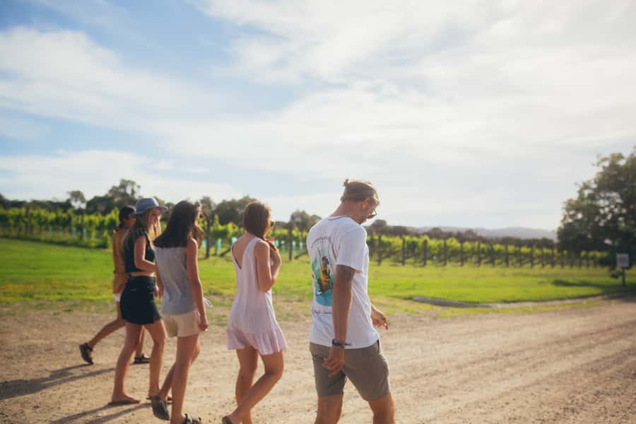 Mornington Peninsula: SUP, Hike, & Hot Springs Trip w/ Lunch - A useful break before the walking section