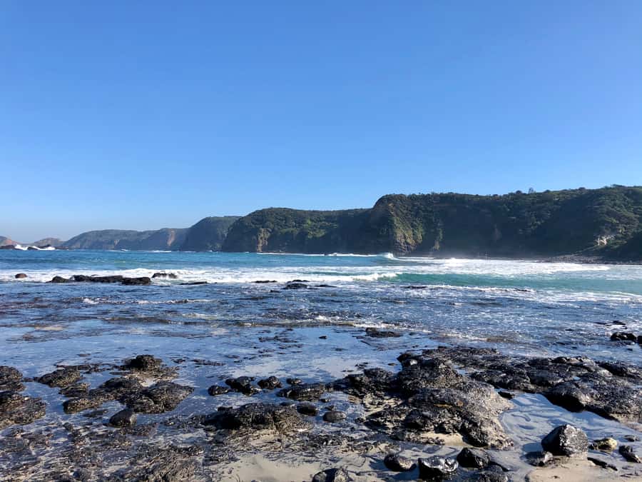 Mornington Peninsula: SUP, Hike, & Hot Springs Trip w/ Lunch - Hiking through eucalyptus country to the coast