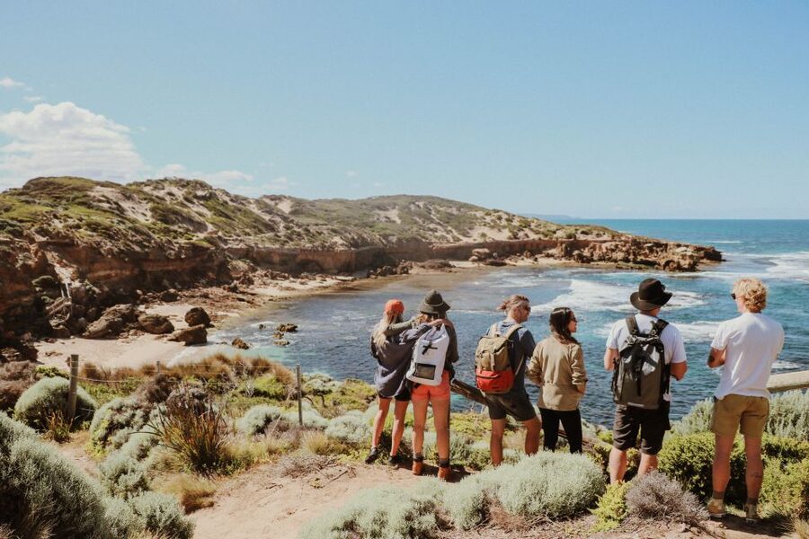 Mornington Peninsula: SUP, Hike, & Hot Springs Trip w/ Lunch - Wine, farm produce, and a beach picnic