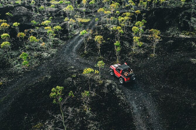 Mount Batur 4WD Jeep, Breakfast and Hot Spring All Inclusive - The Jeep ride up Mount Batur