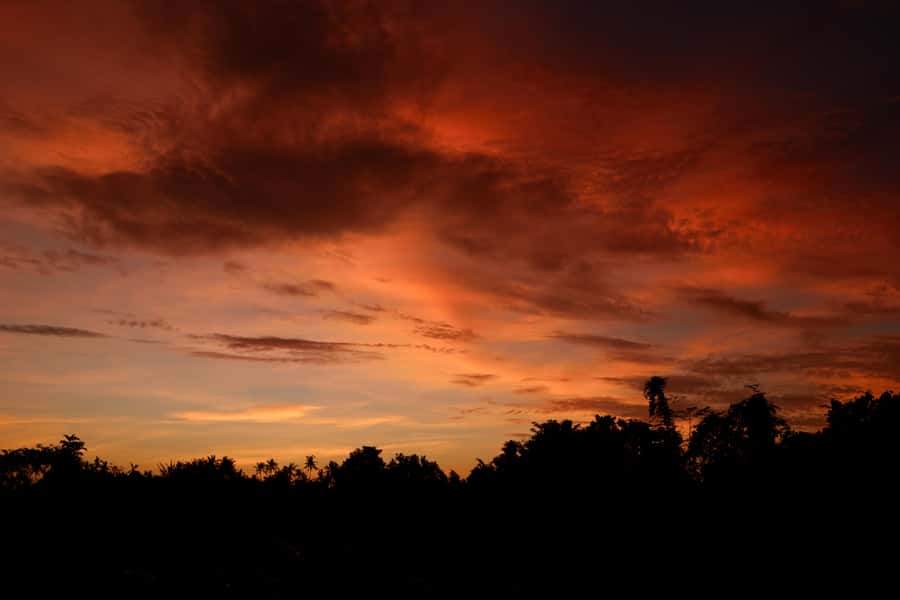 Mount Batur Sunrise Trek & Hot Springs Tour - Walking Mount Batur before dawn