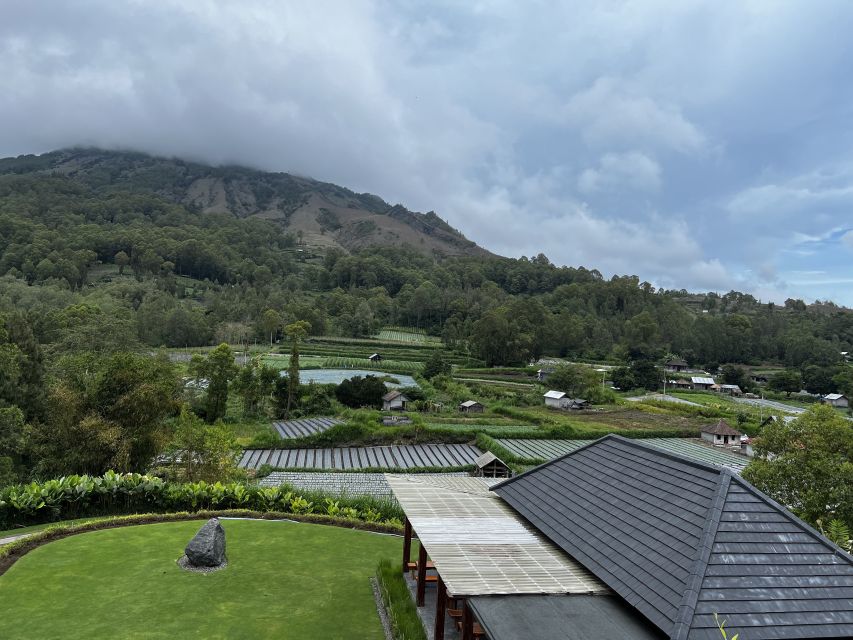 Mount Batur Sunrise Trek & Hot Springs Tour - The Kintamani coffee stop is brief and commercial