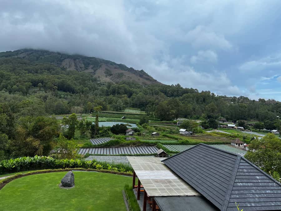 Mount Batur Sunrise Trek & Hot Springs Tour - Who will enjoy this morning most