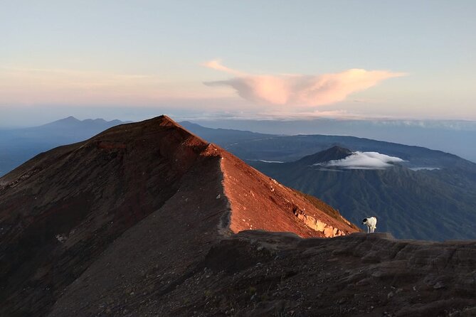 Mount Batur Sunrise Trekking, Hot Springs & Lunch at Restaurant - How the $61.16 price holds up