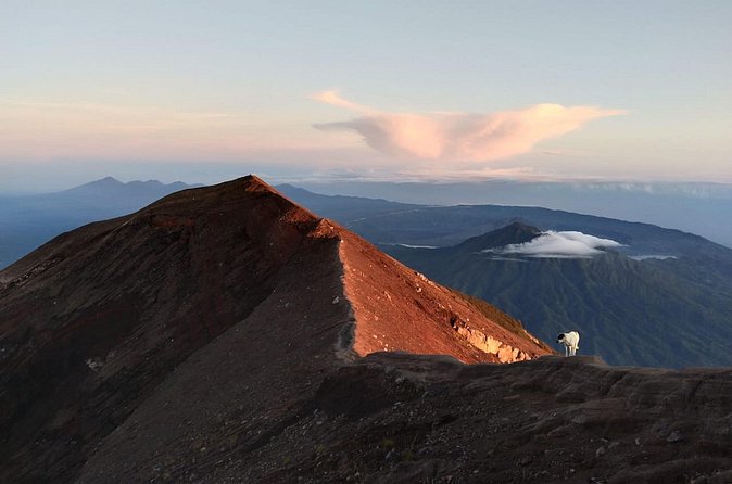Mount Batur Sunrise Trekking, Hot Springs & Lunch at Restaurant - Who should book this Mount Batur day?
